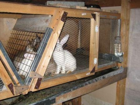 фото клетки для кроликов